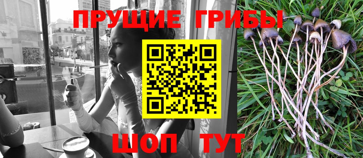 Галлюциногенные грибы ЛСД  Псилоцибиновые грибы мицелий  Вход с VPN  Лысьва 