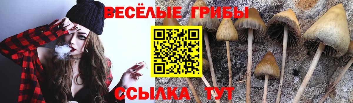 Галлюциногенные грибы мухоморы Лысьва